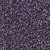 MIYUKI Delica Beads SEED-J020-DB1244-2