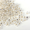 MGB Matsuno Glass Beads SEED-R033-3mm-34RR-3