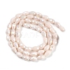 Opaque Solid Color Electroplate Glass Beads Strands X-EGLA-N013-P4mm-B08-2