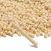 TOHO 6/0 Round Beads X-SEED-TR06-0051-2