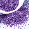 MIYUKI Delica Beads SEED-MY11-DB0660-1