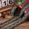Ethnic Style Embroidery Polyester Ribbons SK-TAC0001-02-5