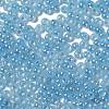 Glass Seed Beads SEED-H002-E-A1414-3