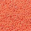 MIYUKI Round Rocailles Beads SEED-G008-RR0424-3