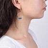 Natural Gemstone Dangle Earrings EJEW-JE03470-4
