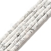 Natural Howlite Beads Strands G-I341-04-1