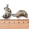 Natural Dalmatian Jasper Pendants G-F820-02L-16-2