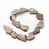 Natural Aqua Terra Jasper Beads Strands G-D857-02-2
