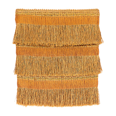 Polyester Fringe Ribbon OCOR-WH0078-34-1