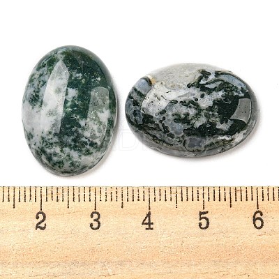 Natural Tree Agate Cabochons G-M430-01-1