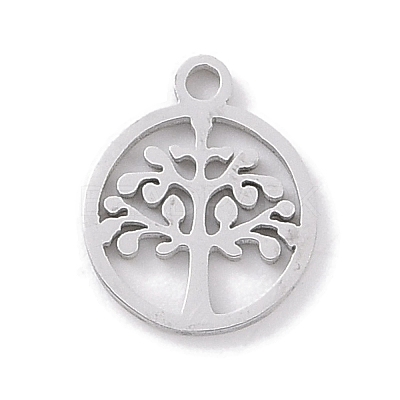 Non-Tarnish 304 Stainless Steel Charms STAS-K286-01D-P-1