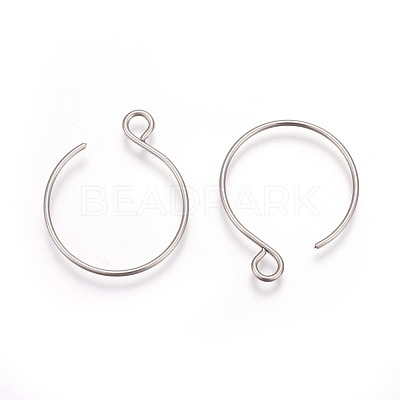 Tarnish Resistant 304 Stainless Steel Earring Hooks X-STAS-L216-02A-P-1
