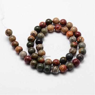 Natural Polychrome Jasper/Picasso Stone/Picasso Jasper Bead Strands G-O155-02B-10mm-1