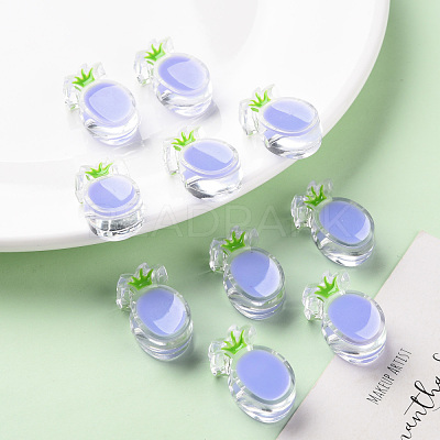 Transparent Enamel Acrylic Beads TACR-S155-002J-1