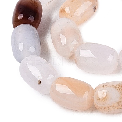 Natural Agate Beads Strands G-N356-02B-13-1