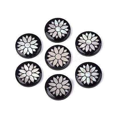 Acrylic & Natural Freshwater Shell Cabochons OACR-N164-06-1