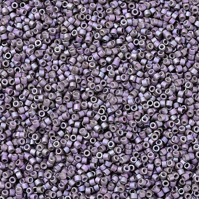 MIYUKI Delica Beads X-SEED-J020-DB1065-1