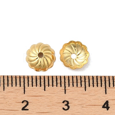 316 Stainless Steel Bead Caps STAS-C080-01G-1