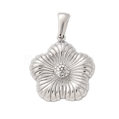 304 Stainless Steel Pendants STAS-Q349-01B-P-1