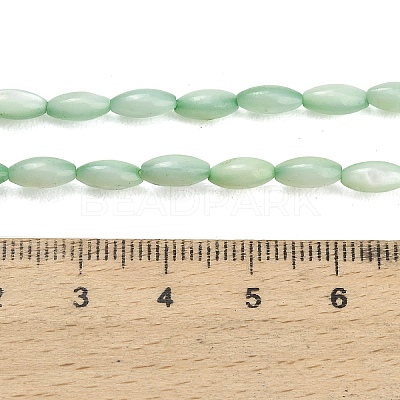 Natural Freshwater Shell Beads Strands SHEL-C010-01-1