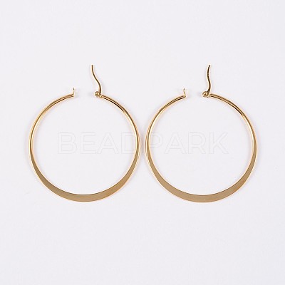 304 Stainless Steel Hoop Earrings EJEW-P040-20-B-1