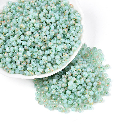 6/0 Glass Seed Beads SEED-N008-07D-1