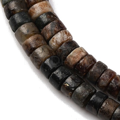 Natural Biotite Beads Strands G-L624-I12-2x4mm-1