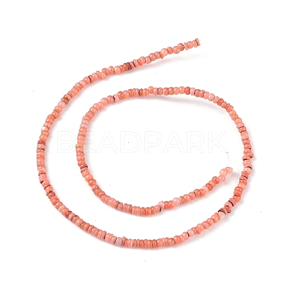 Natural Freshwater Shell Beads Strands SHEL-M018-06-1