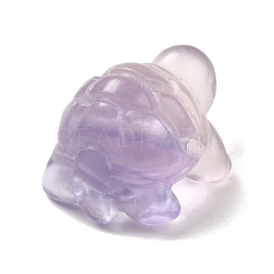 Natural Fluorite Carved Healing Tortoise Figurines LS-WG28275-01-1