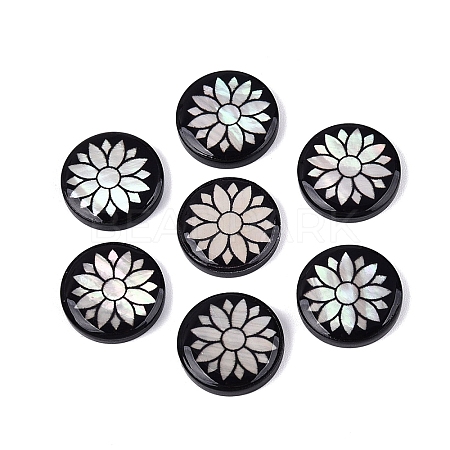 Acrylic & Natural Freshwater Shell Cabochons OACR-N164-06-1