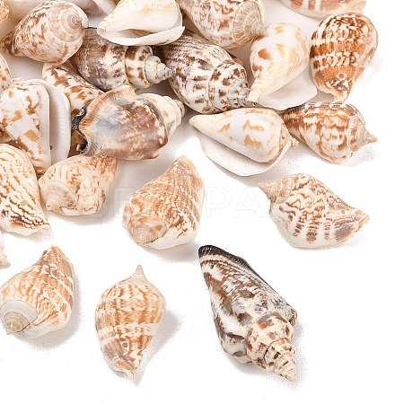 Natural Conch Shell Beads BSHE-O007-57-1