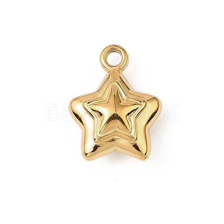304 Stainless Steel Charms STAS-F327-03C-G-1