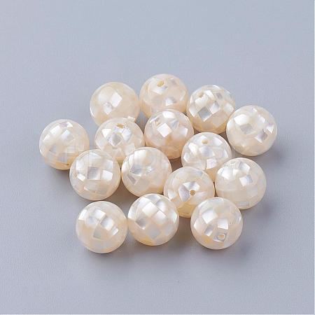 Natural White Shell Beads SSHEL-Q298-10mm-08-1
