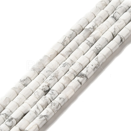 Natural Howlite Beads Strands G-I341-04-1