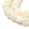 Natural Trochid Shell/Trochus Shell Beads Strands SHEL-F007-01-3