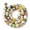 Dyed & Heated Natural Fire Crackle Agate Beads Strands G-P539-B01-23-3