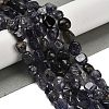 Natural Iolite Beads Strands G-P497-01E-01-2