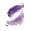 Natural Amethyst Pendants G-L614-D05-P05-2