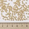 MIYUKI Round Rocailles Beads X-SEED-G008-RR0442-4