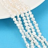 Natural Cultured Freshwater Pearl Beads Strands PEAR-P064-19D-09A-1
