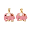 Brass Enamel Pendants KK-T001-04G-B-1