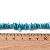 Natural Freshwater Shell Beads Strands BSHE-I016-01A-2