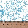 TOHO Round Seed Beads X-SEED-TR15-0931-4