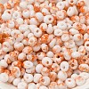 Baking Paint Glass Seed Beads SEED-F006-01A-10-3