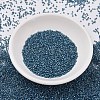 MIYUKI Delica Beads SEED-X0054-DB2384-2