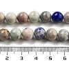 Natural Hackmanite Sodalite Beads Strands G-Z063-A03-02-5