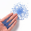 Glass Seed Beads SEED-A004-3mm-6-4