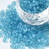 Glass Seed Beads E01MA044-1