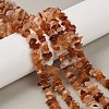 Natural Fire Opal Beads Strands G-C253-03-1