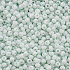 8/0 Opaque Glass Seed Beads X1-SEED-S048-N-007-3